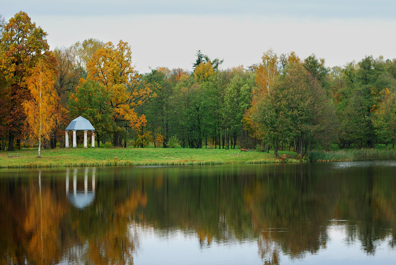 There is a branch of the family park dark pond ...