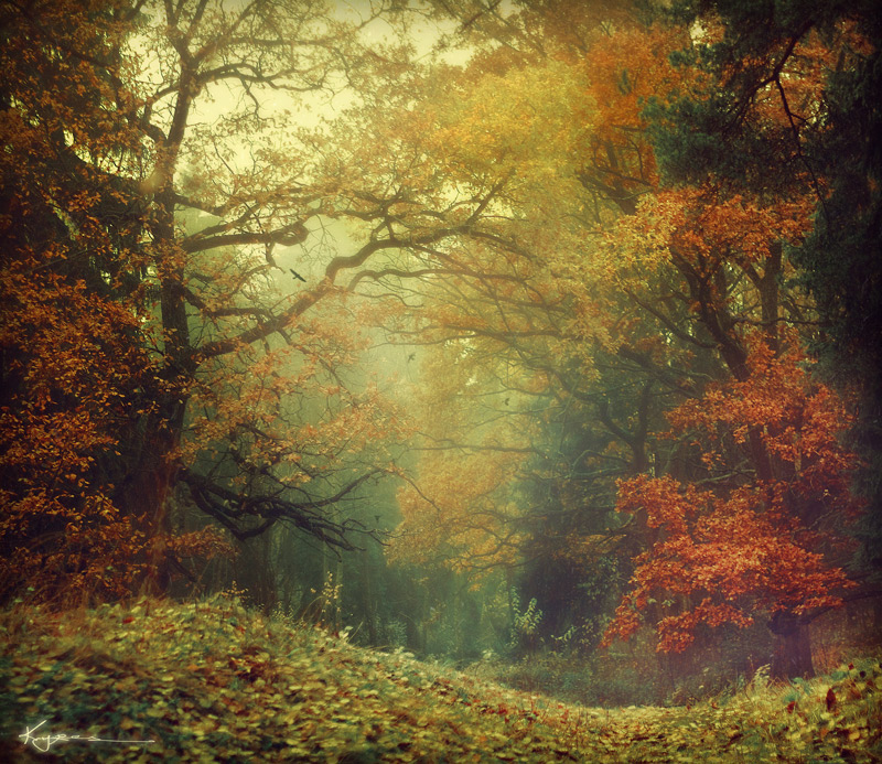 Autumn