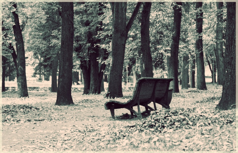 Loneliness