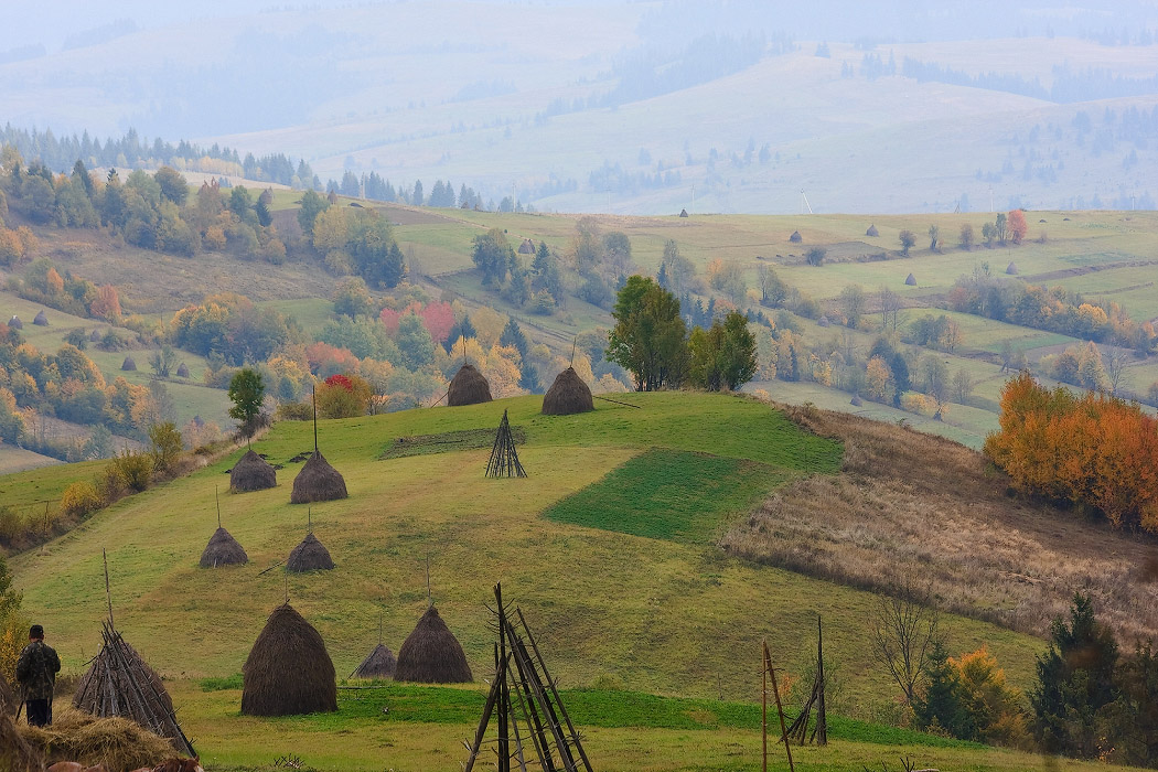 Carpathian Mountains - October
