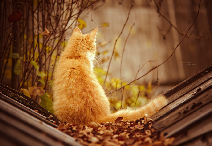 # 102. Seeing autumn