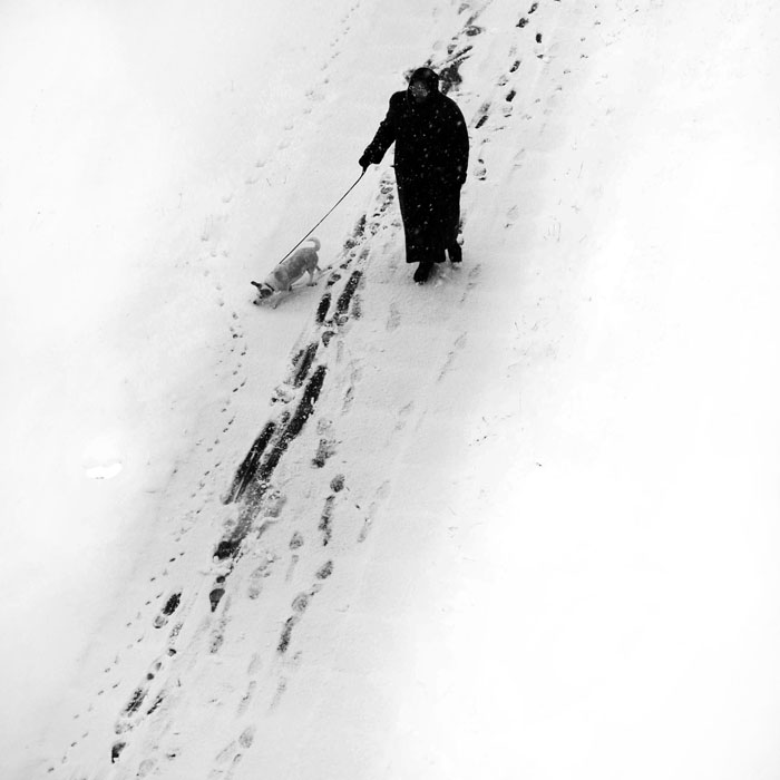 The first snow and the lady with the dog