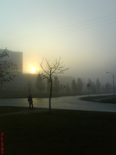 Fog