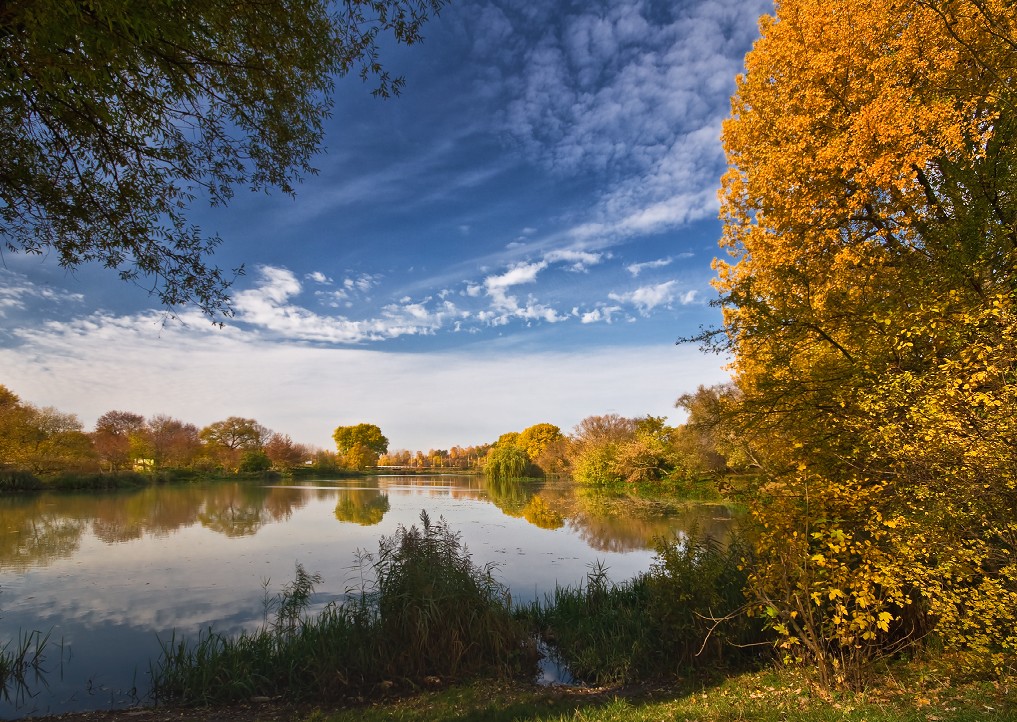 Autumn Gold and blue summer ...