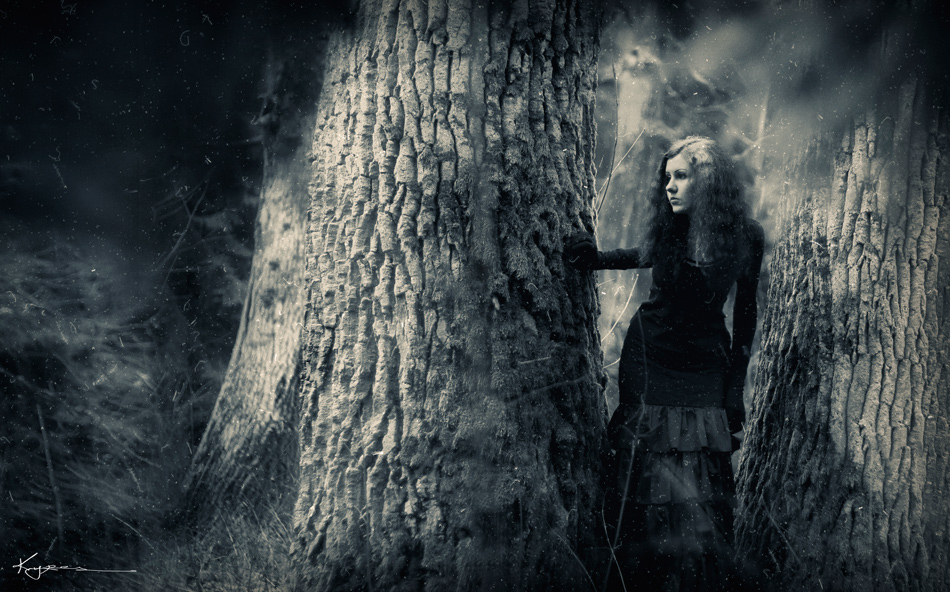 in search of Nikolodina