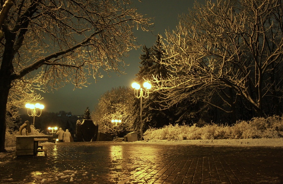 Winter evening in olive tones