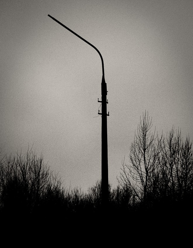 A lone crane