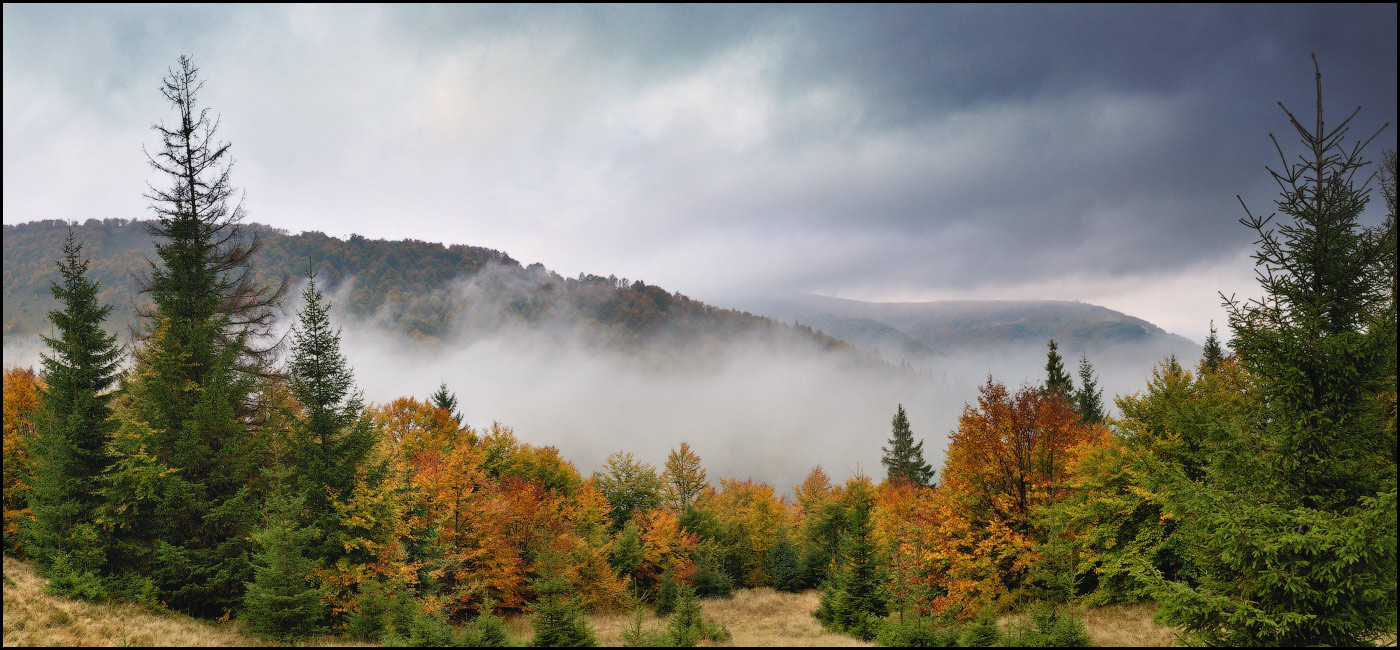 Autumn in the clouds