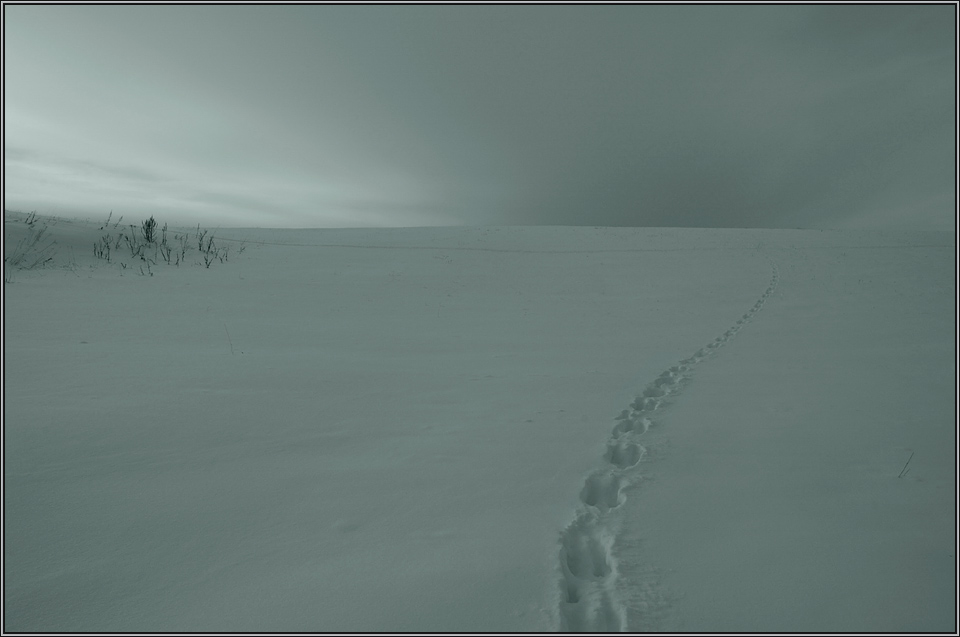 Winter desert landscape ... 3