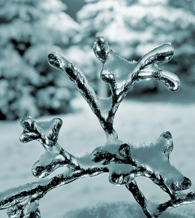 Winter Toys