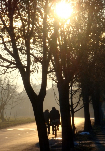 Silhouettes