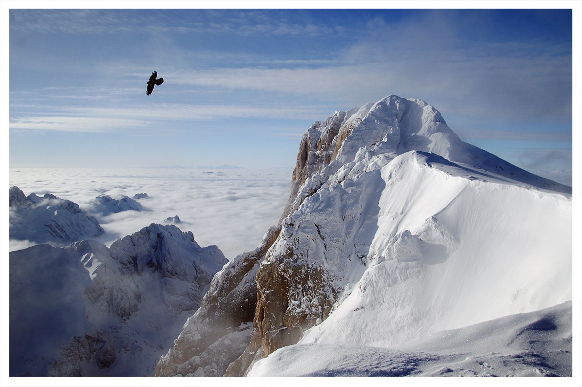 flying