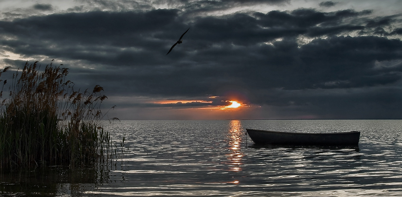 Silence
