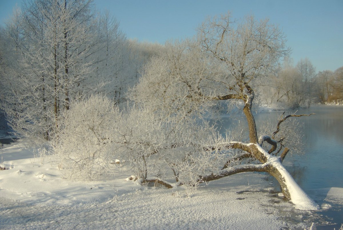 Winter .. II
