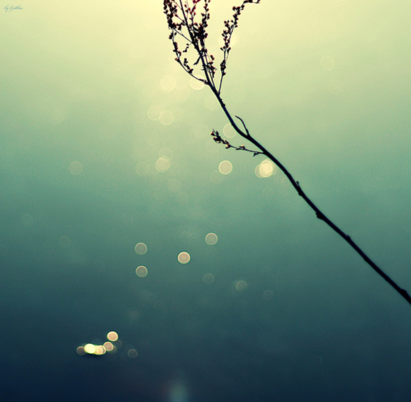 Color Dreams