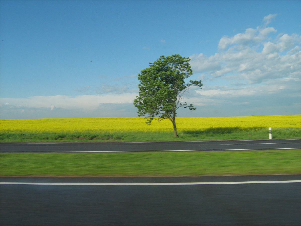 Field ... the field of Belarusian ...