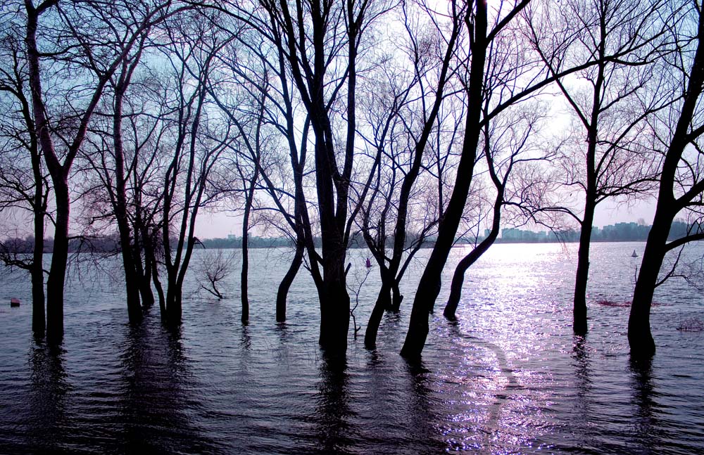 Flood