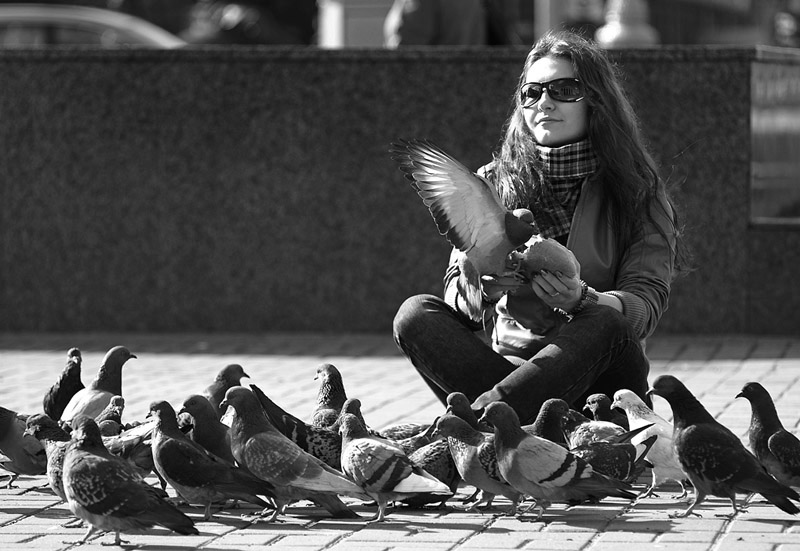 Metro and the Pigeons