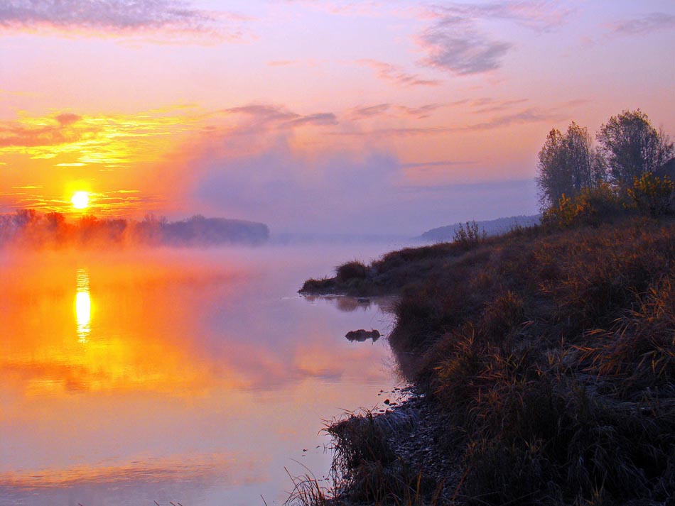 Зорька огненный крест фото