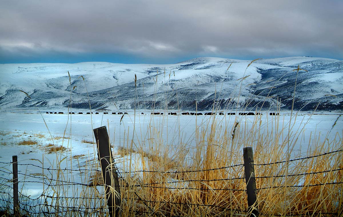 live beyond the fence