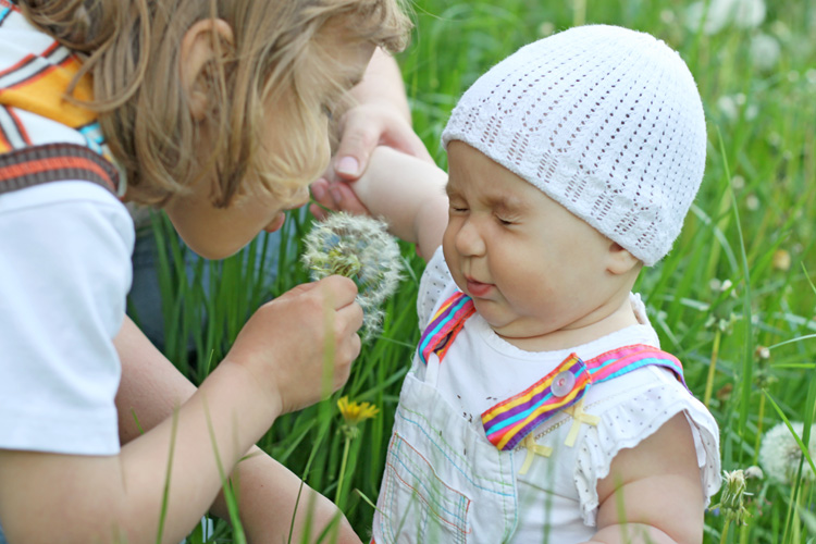 Dandelion happiness.