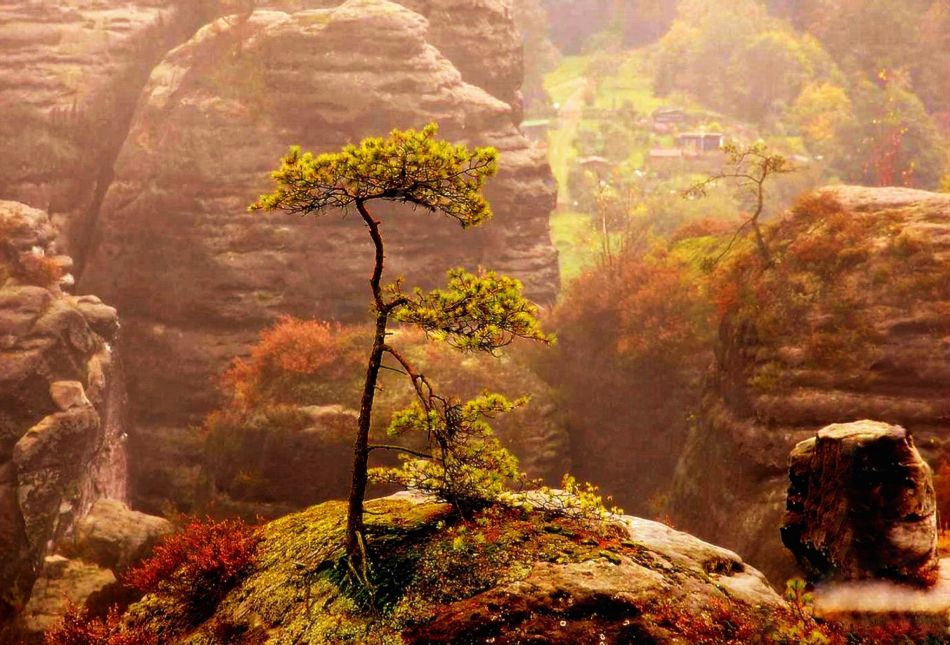 Loneliness