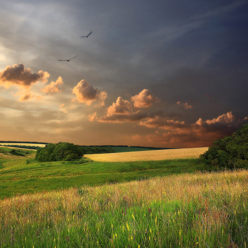 July evening