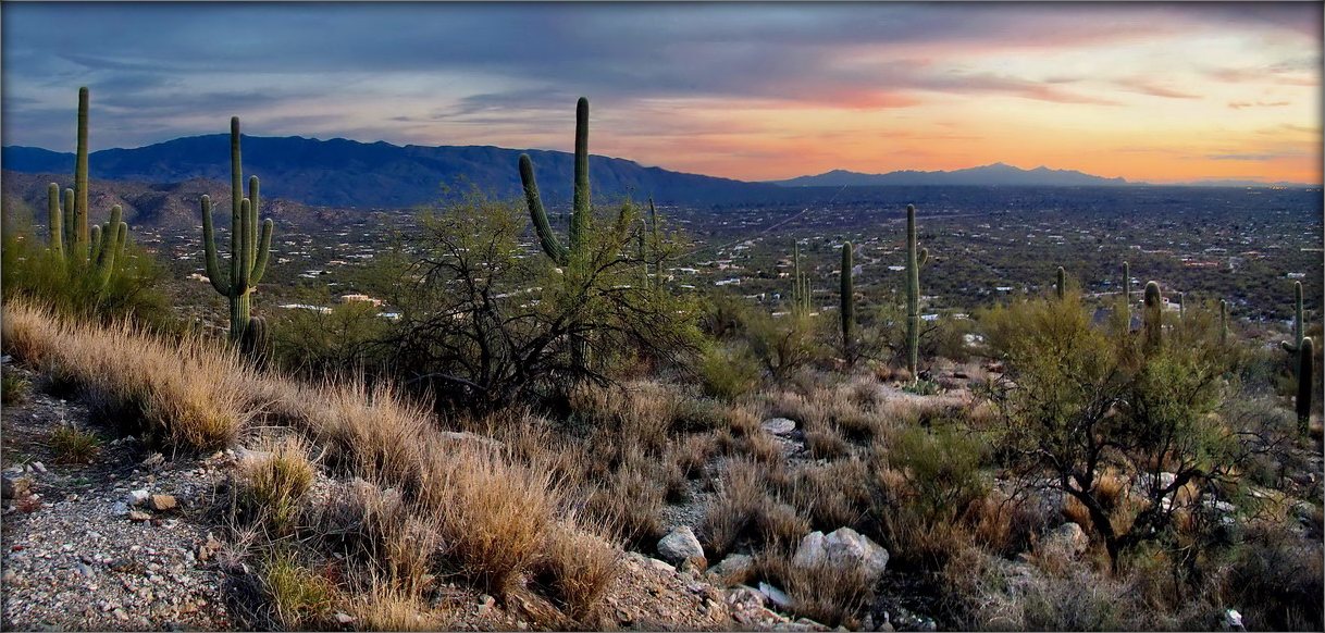 Dabranach, Tucson