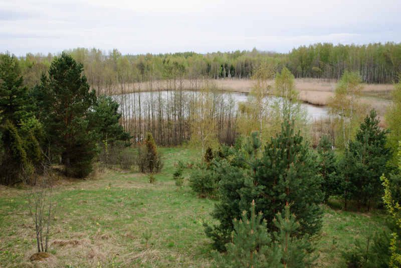 Forest Lake