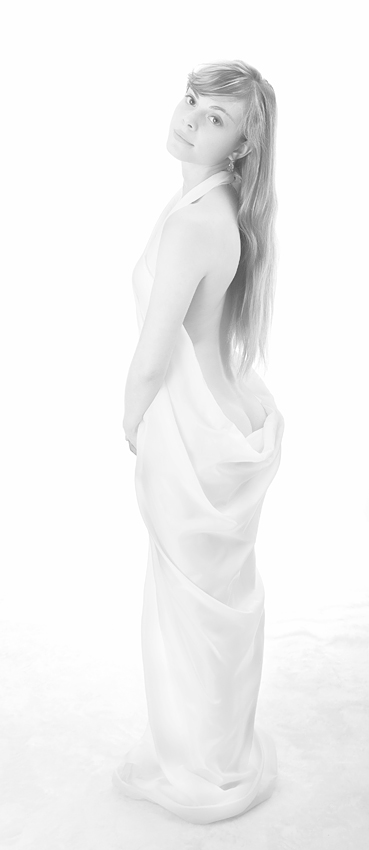 Portrait of a high-key 20 (Portrait in the High key 20)