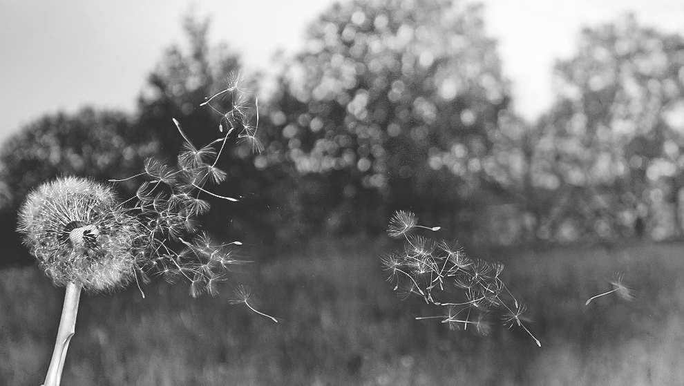 breathe