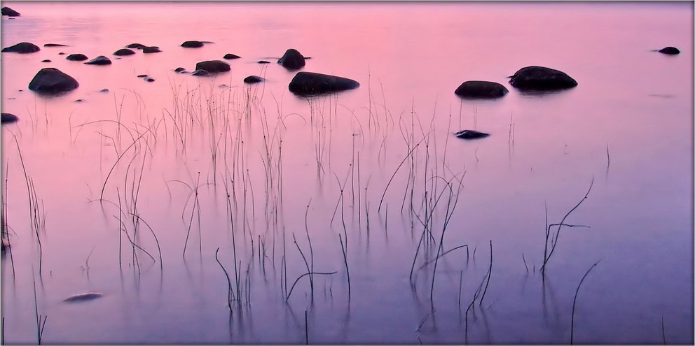 Twilight