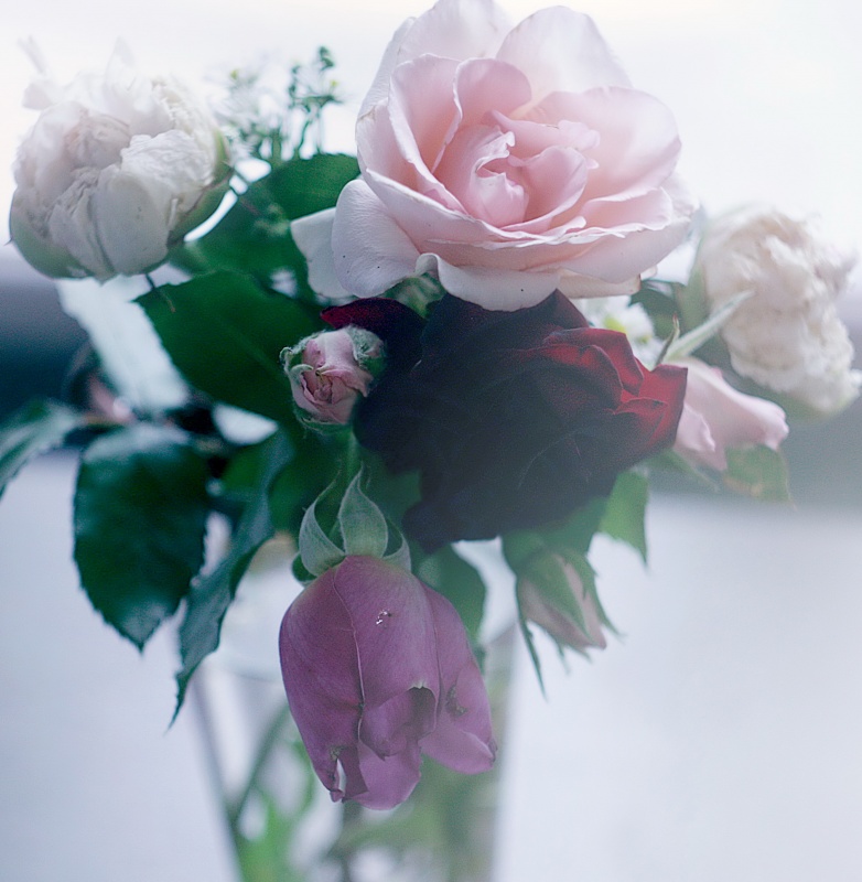 Beauty is