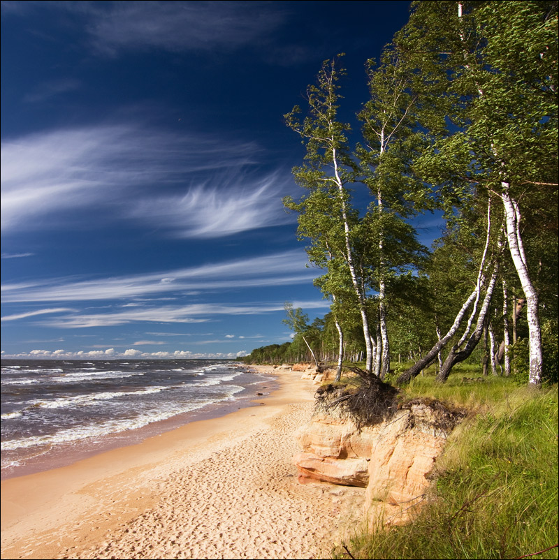 West Wind