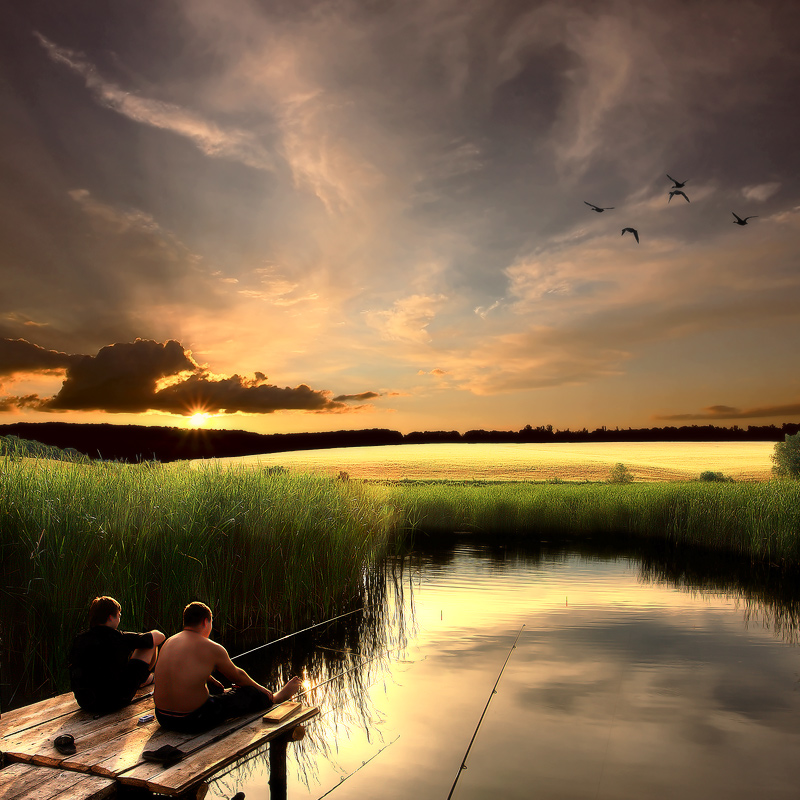 Fisher