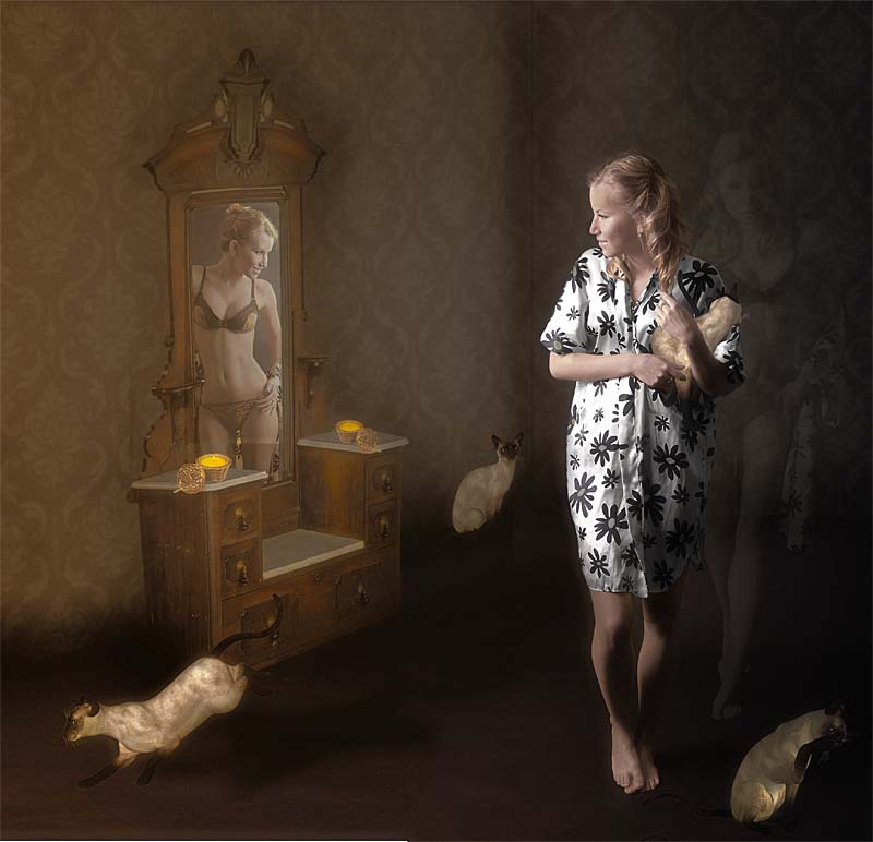 Dream about cats ....