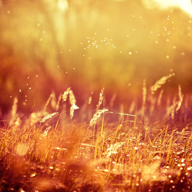 Summerly