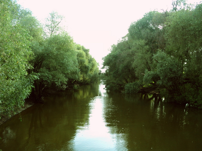 At the River.