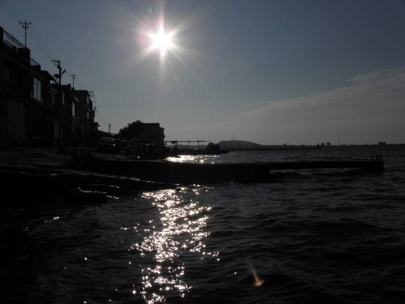 Sea