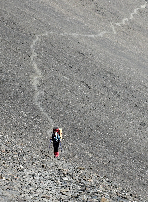 Pulse 3500