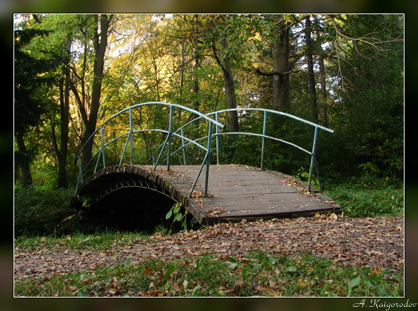 Bridge in Autumn