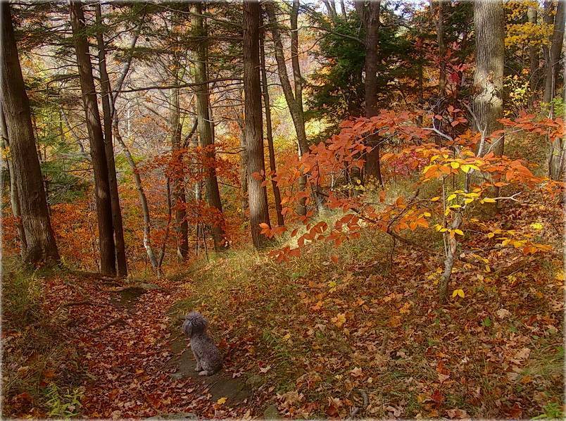 it - autumn ..a her - Winter ...