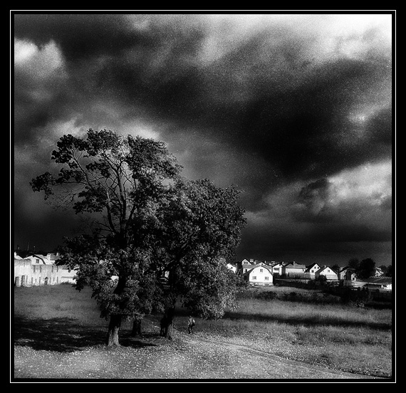 ... In search of black ...