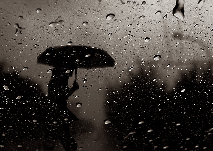 Wet Rhapsody