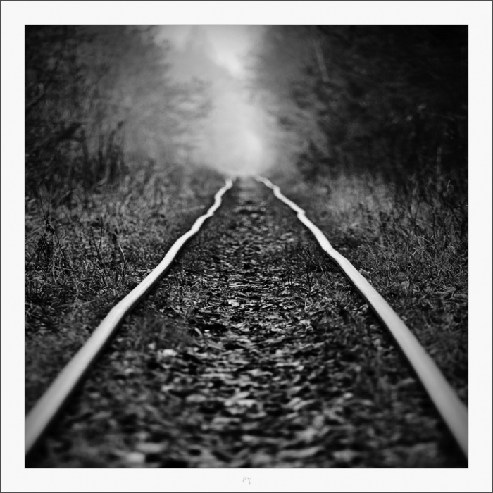 Narrow Gauge