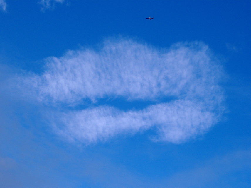 Heavenly kiss ...