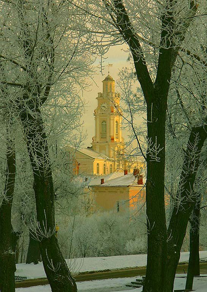 Winter Morning