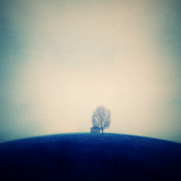 landscape aka landscape