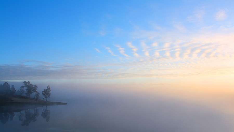 "Dawn"