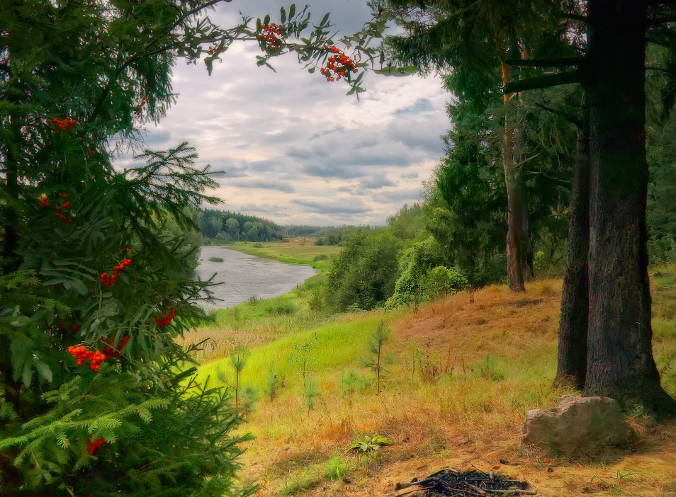 Window in August
